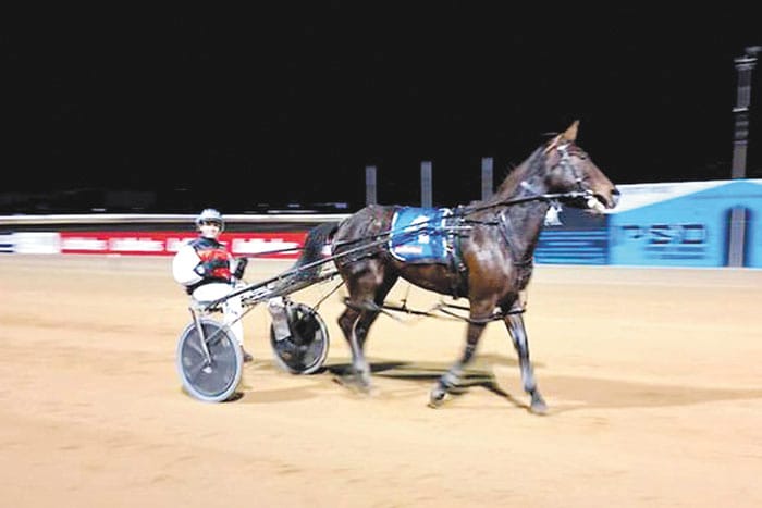 YP Harness Racing Club