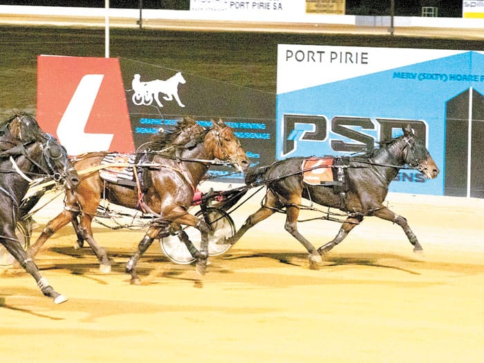 YP harness racing results