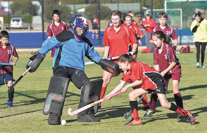 YP Hockey scores