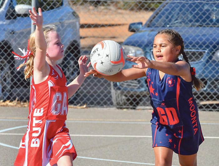 Netball: Yorke Peninsula scores and reports