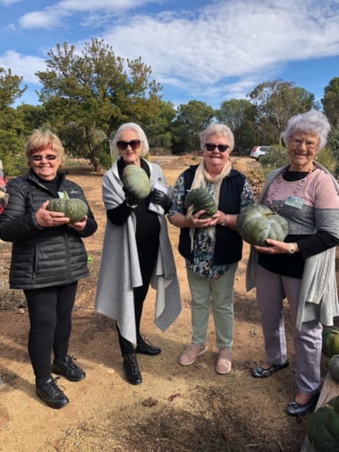 Kadina Cottage Garden Club's year to date