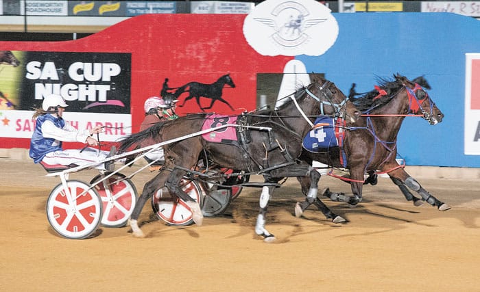 YP Harness Racing news