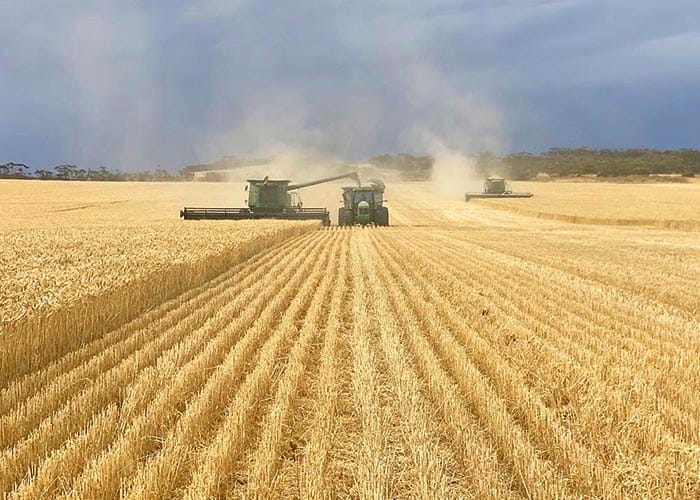 Bute breaks records as SA heads for bumper harvest