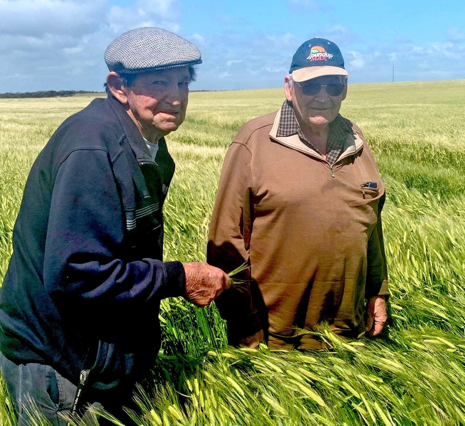 Farming in the blood for Andrews brothers