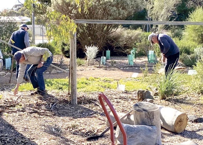 NYP Australian Plants Society holds Open Day