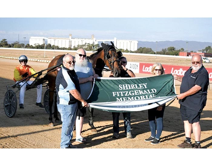 YP harness racing