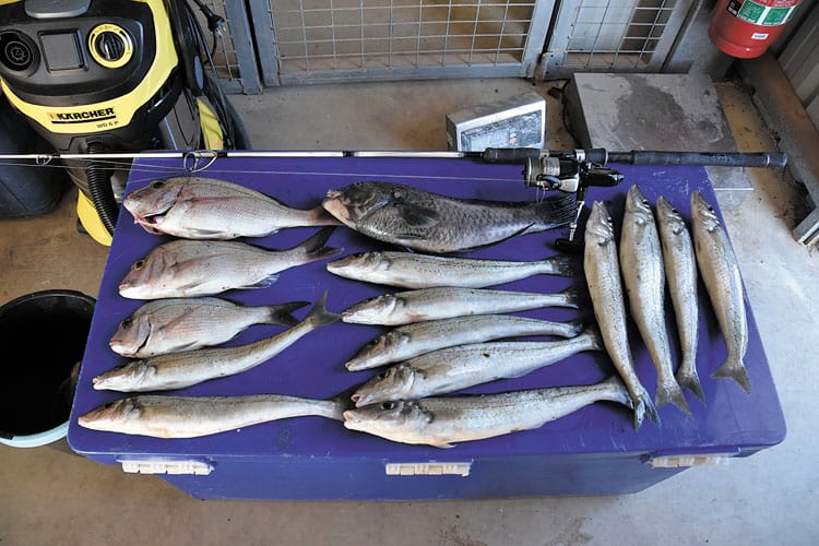 Tough penalties for fishing offences