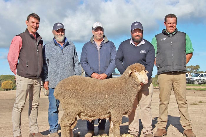 Record-breaking ram sale for North Cowie