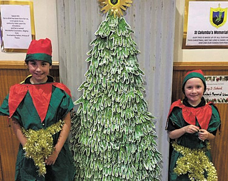 Christmas tree festival proves a hit