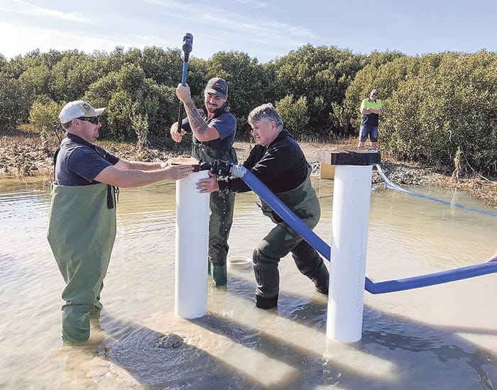 Platform to protect endangered osprey
