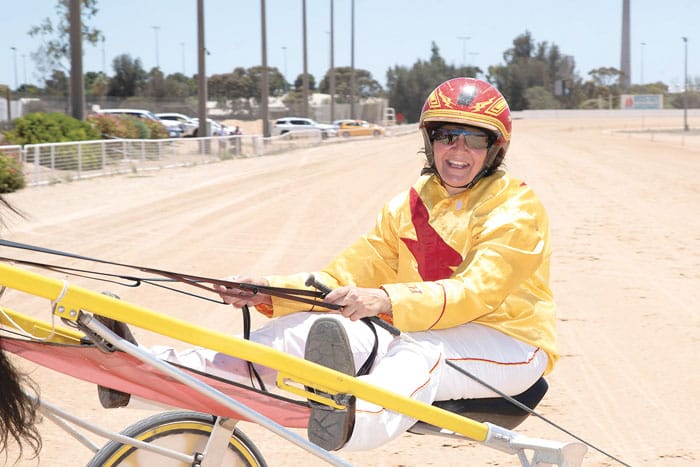 YP harness racing