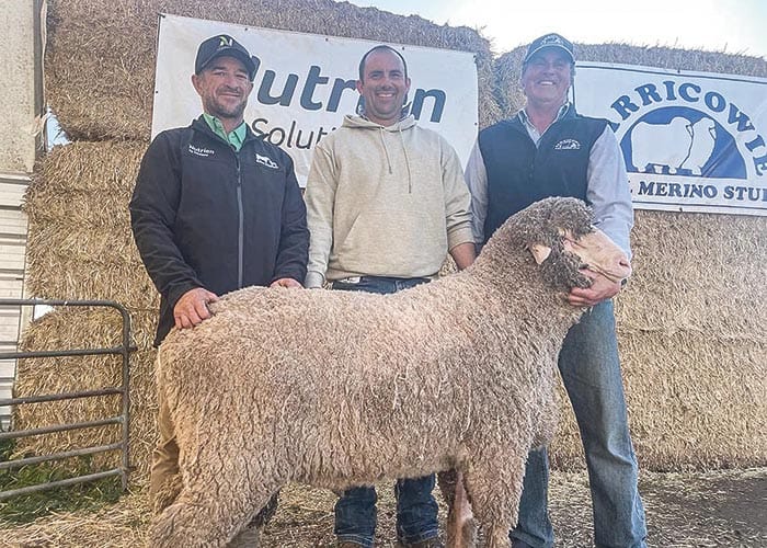 Pleasing year at Carricowie