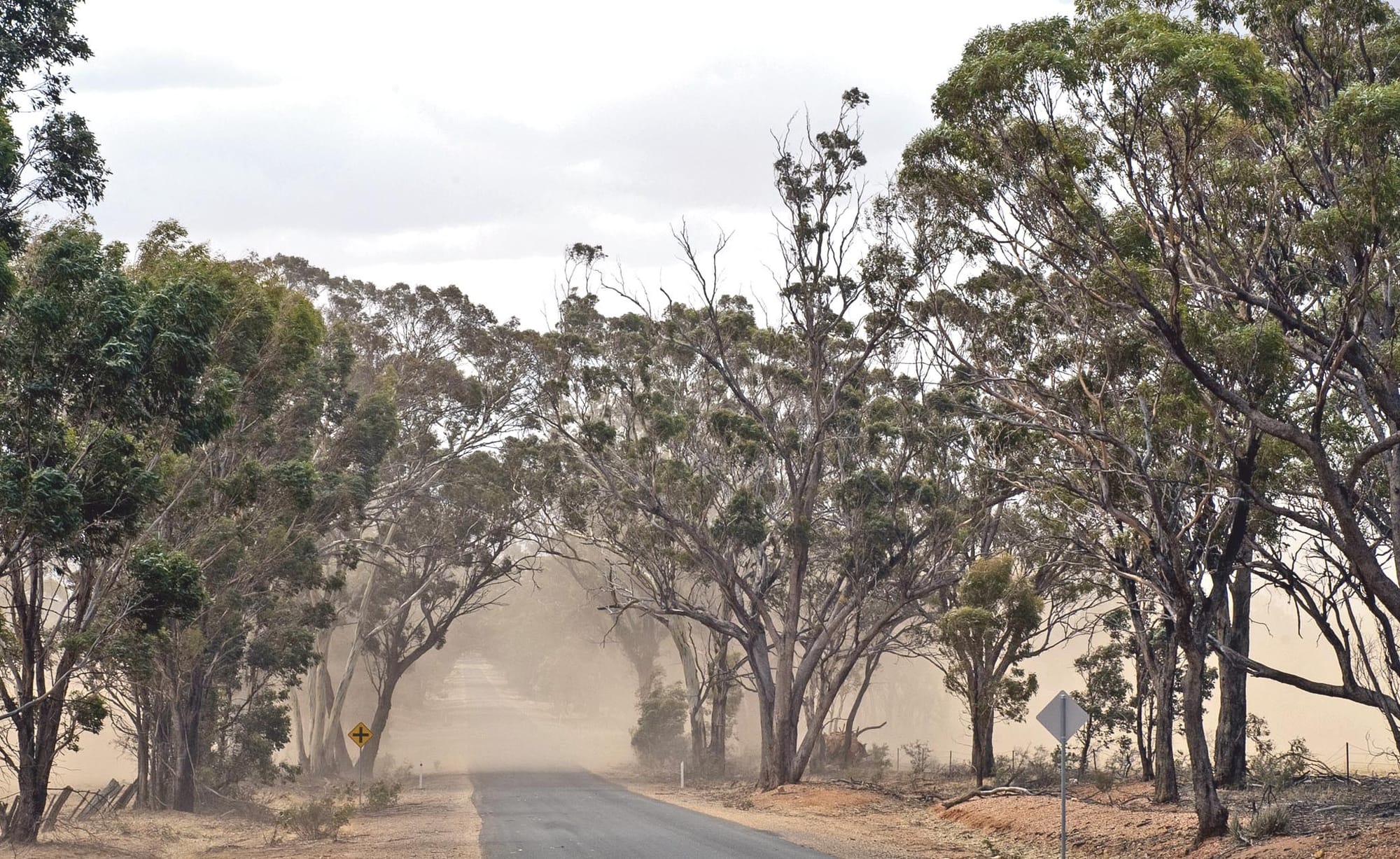 Protect soils and yields with advice from an expert panel