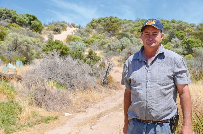 Thidna vegetation destroyed