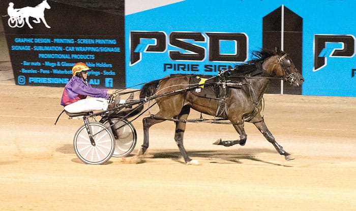 YP Harness Racing Club