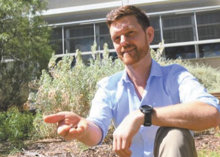 Healthy soil after revegetation