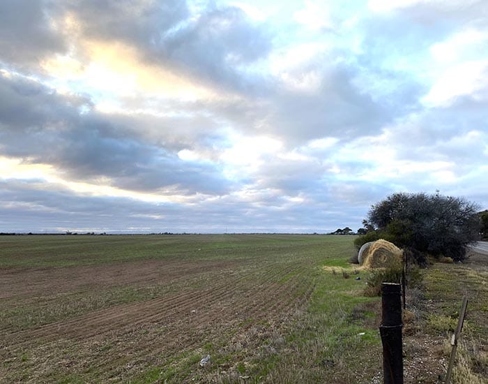 Harvest hanging on more rain