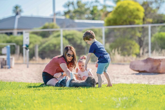 Raise the woof - BWC leads dog and cat registrations