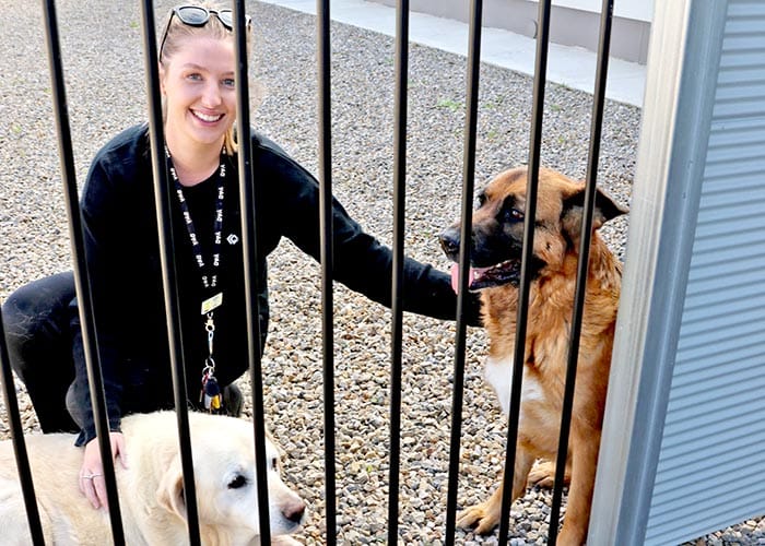 Fisherman Bay fences in council’s sights