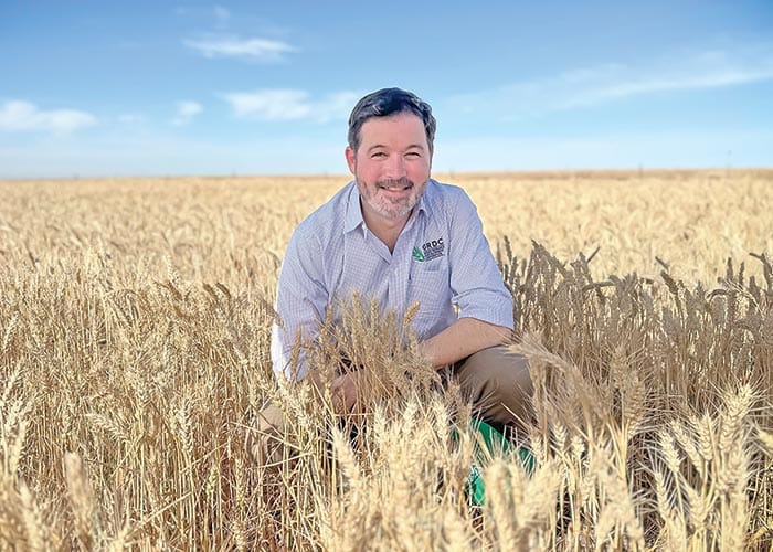 Celebrating 20 years of National Variety Trials