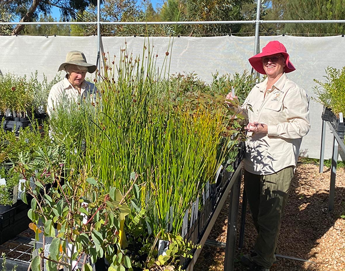 New ideas blooming at Australian Plants Society