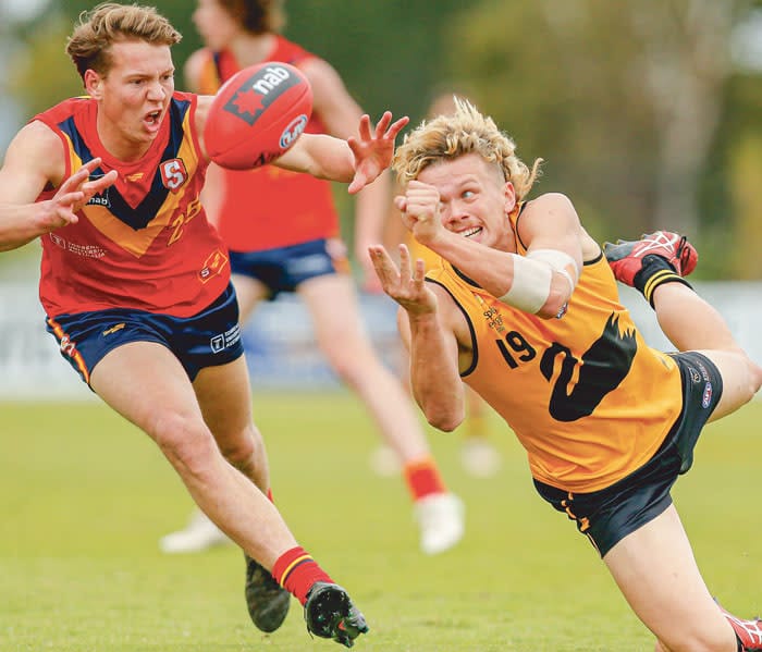 Litster in state colours again