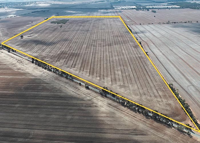 $4.75m paddock pays out