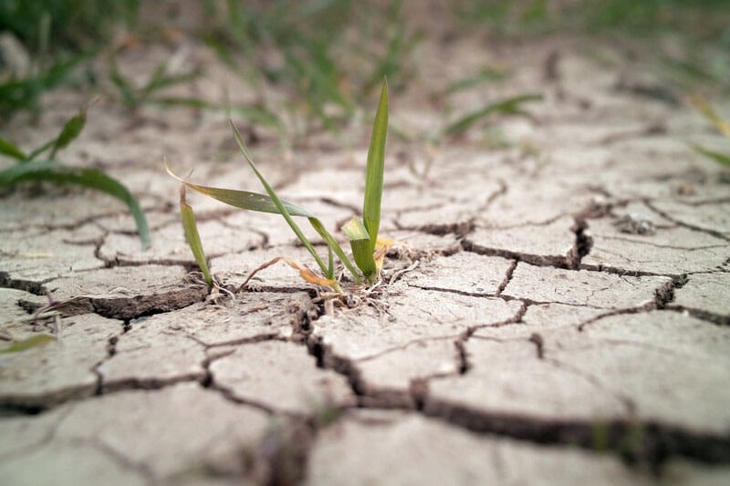 New drought resilience hub