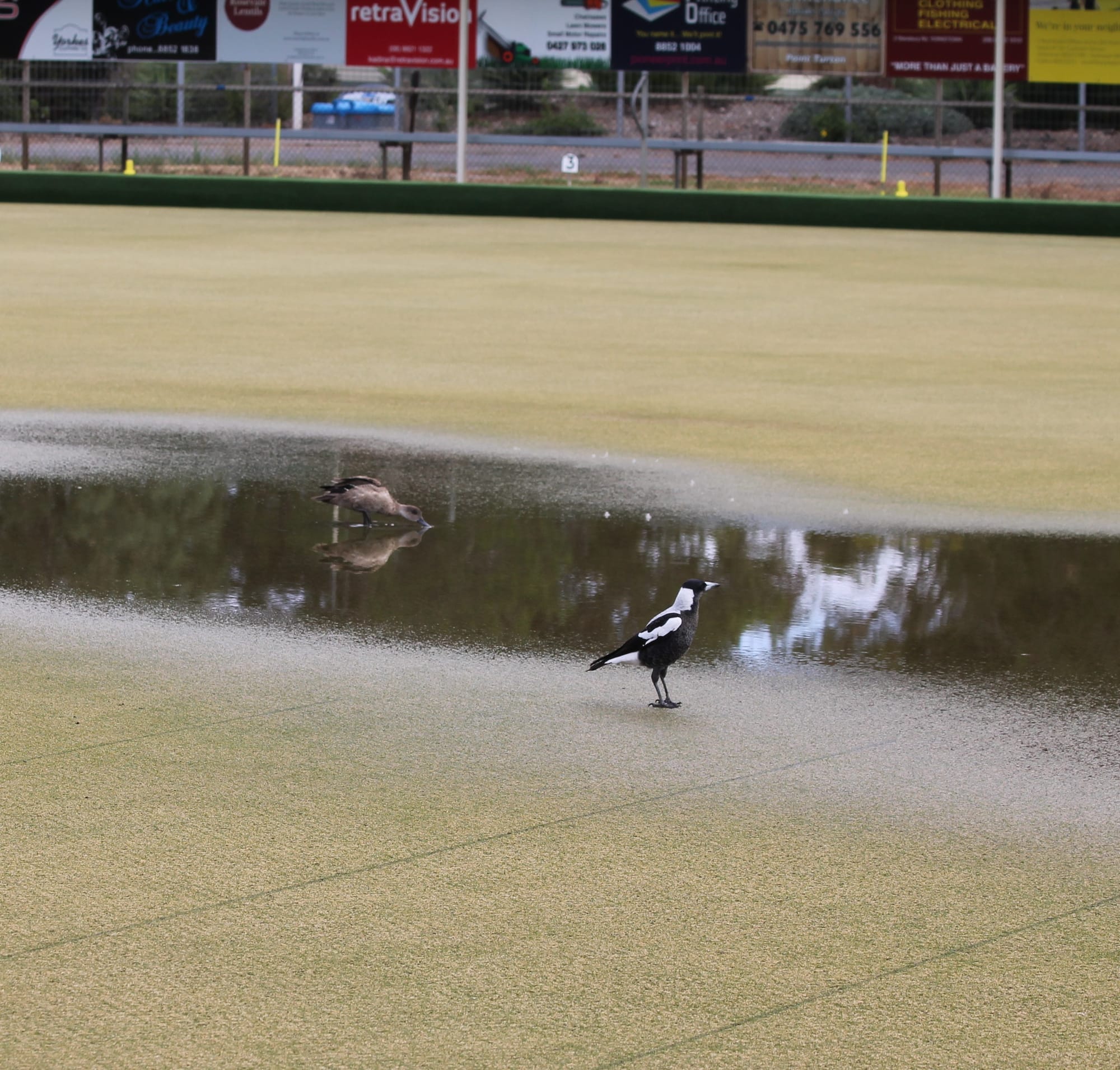 February off to wet start again