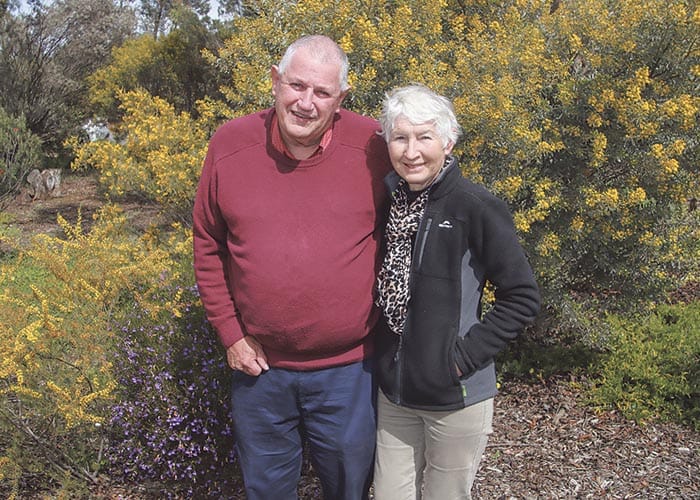 Carers celebrated for their vital roles