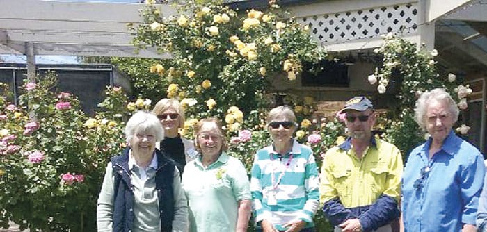 Roses in focus at Maitland