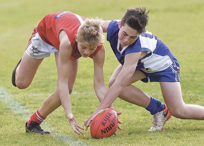 Roos cruise over Bute