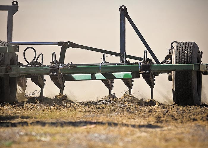 Profit levers key to tackling sandy soils