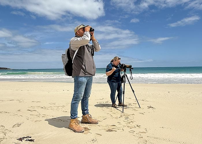 Biennial beach bird count