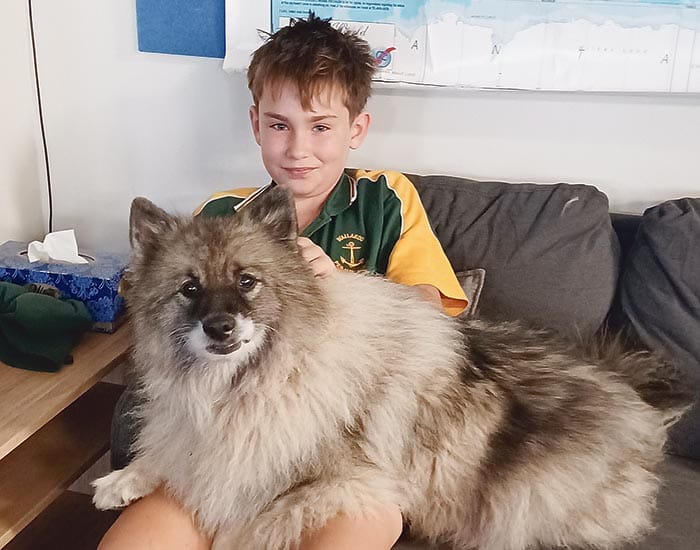Pink promoted to Wallaroo Primary’s Wellbeing Dog