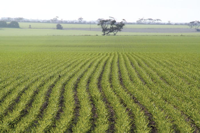 Solid start to season