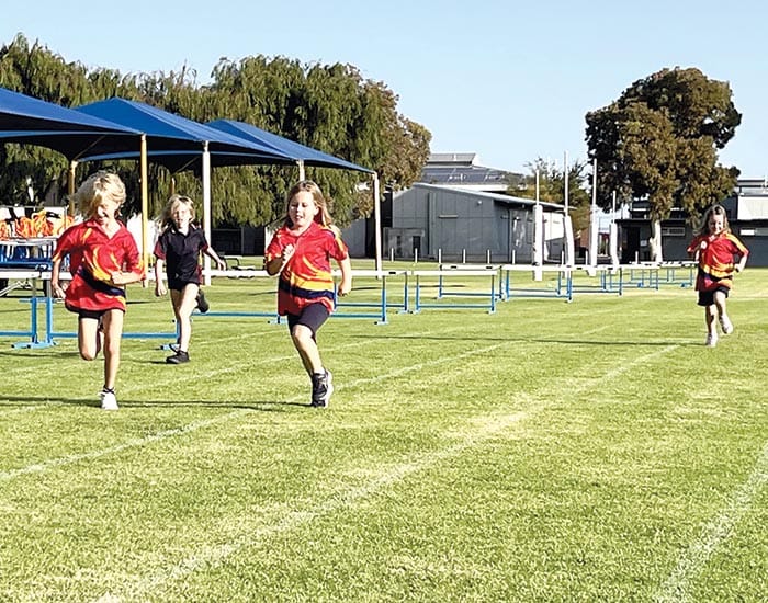 NYP Little Athletics