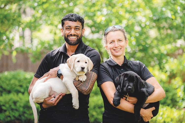 Plea for puppy raisers