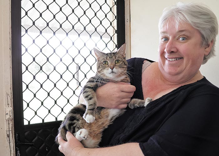 Elderly cats given a new lease of life