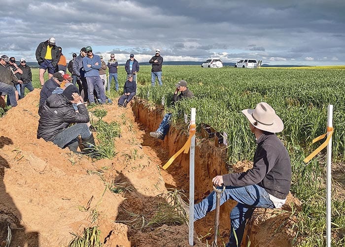 Pulling the profit levers for tackling sandy soils