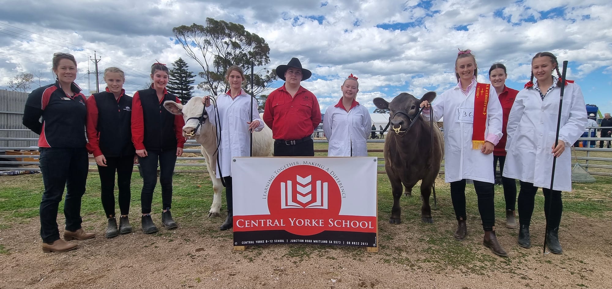 Local comp leads the way