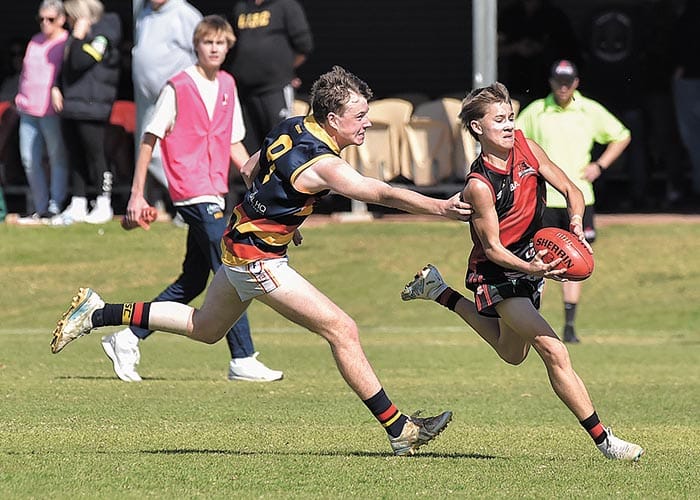 Dominant Crows bully Bloods