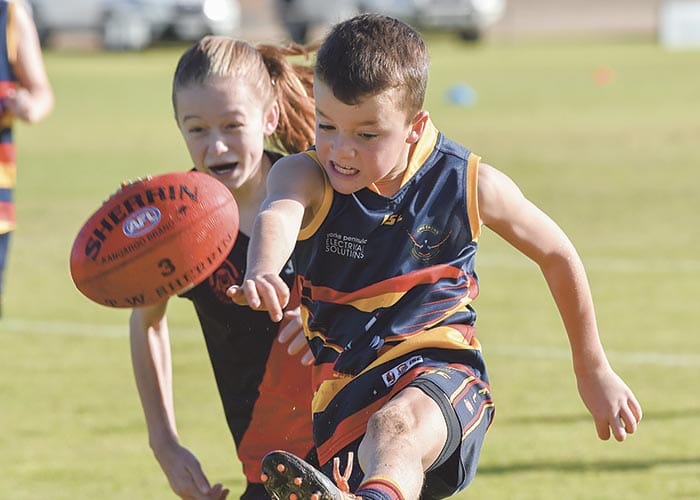 Bloods knocked off by skilful Crows