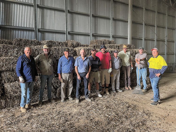 Rotary’s straw bales hit the market