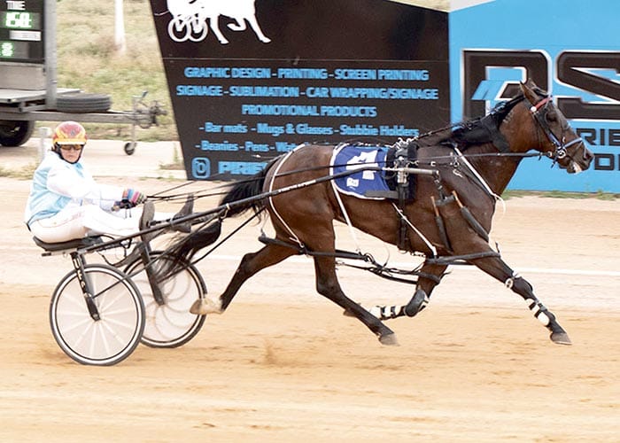 YP harness racing news