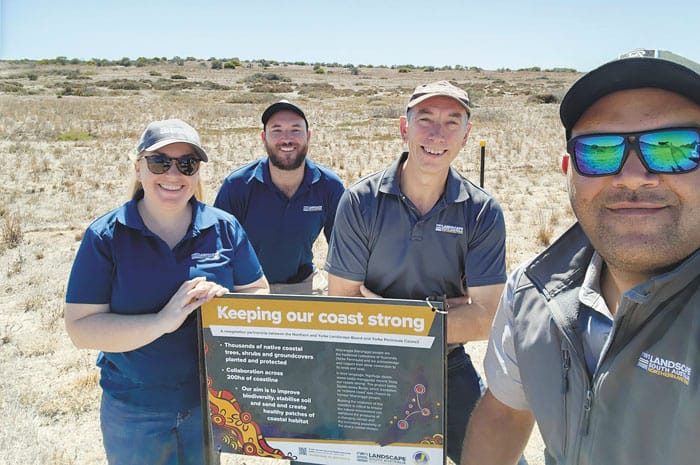 Native plants creating coastal resilience