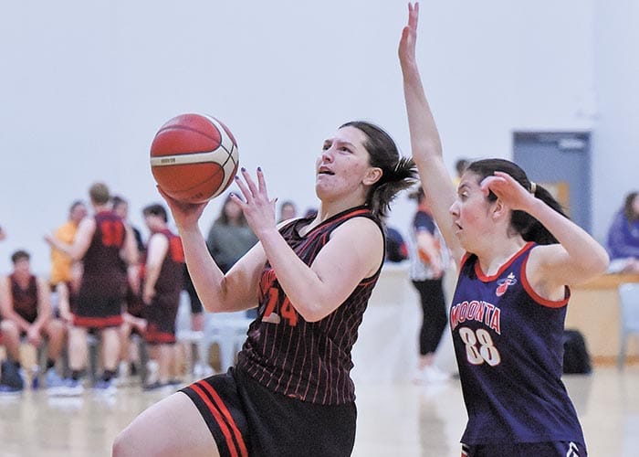 Yorke Valley basketball
