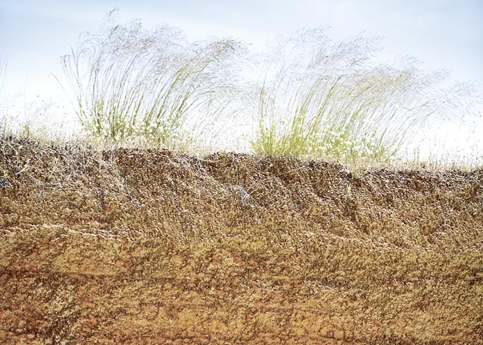 Digital ag innovations map soil constraints