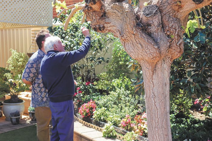 Moonta opens gardens