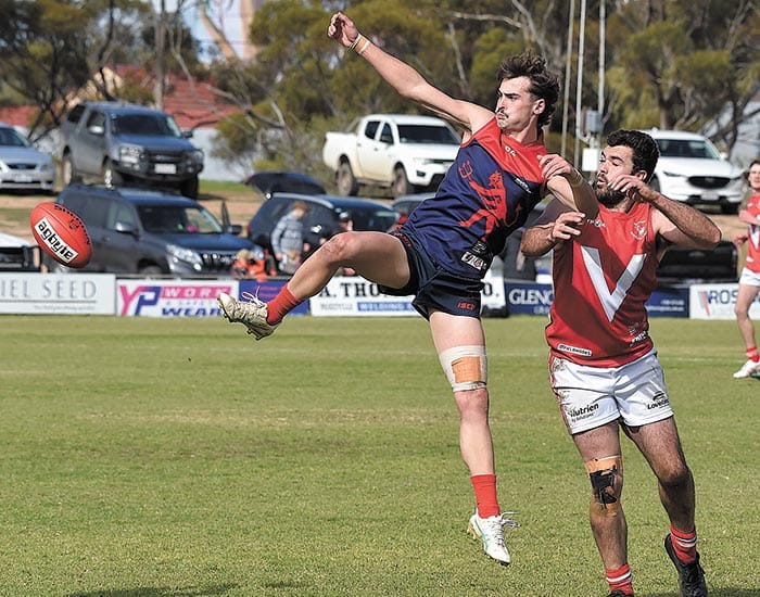 Demons diminish Roosters